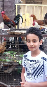 مسجد و حسینیه سید الشهداء