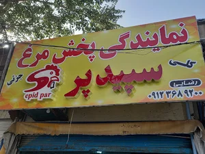 مرغ و گوشت نمایندگی سپید پر