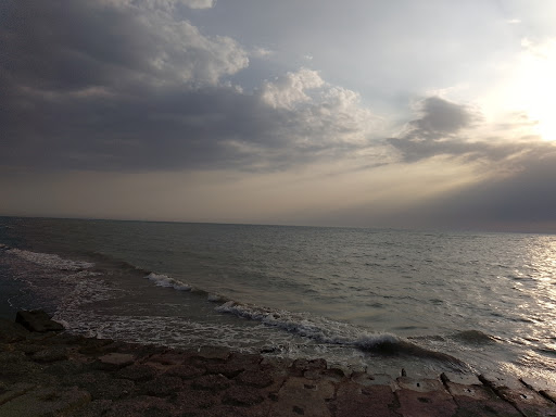 جاده ساحلی