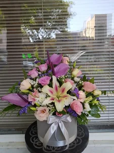 جزیره گل 5