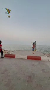 ساحل بادبادک ها خلیج فارس