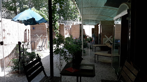 کافه باغ چناران