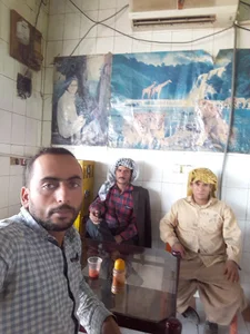 فروش علوفه نان خشک دامی