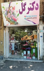دکتر گل ارومیه 2