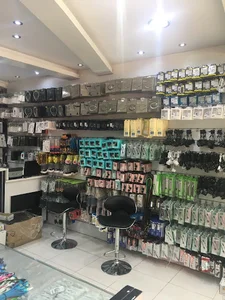 مجموعه موبایل وحید