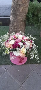 گلفروشی لوکس 2