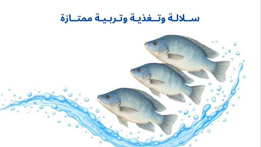 مزرعة الجالي النموذجية