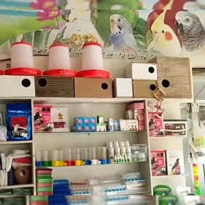 پرنده سرای نوروزی