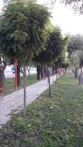 بوستان شورا 5