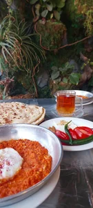 غذای سالم هرخونه 3