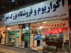 آکواریوم صدف