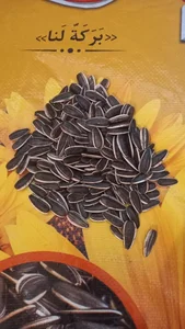 تخمه پزی انگزی 5