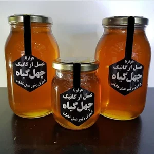 پرورش زنبور عسل خانیان-اولاد و هوفرنا
