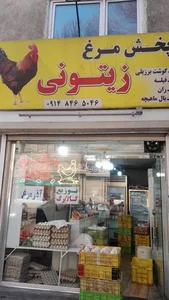 مرغ فروشی زیتونی 2