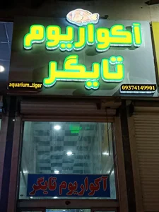 آکواریوم تایگر 5