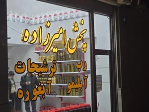 پخش امیرزاده 4