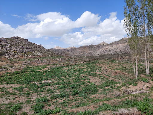 نوور کته تالا