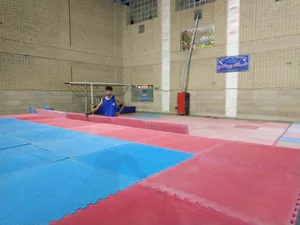خانه ووشو 4