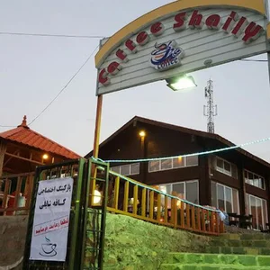 کافه شایلی