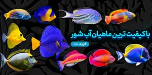آکواریوم بندرعباس