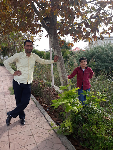 پارک شازده
