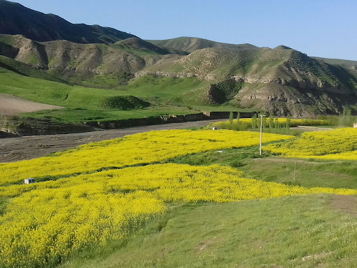 خدمات کشاورزی