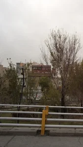 تزئینات آشپزخانه اخوان 2
