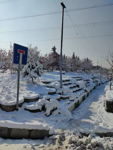 بوستان نخل