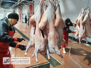 کشتارگاه سابق ( انبار شهرداری)