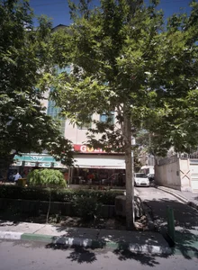 گلفروشی گلینه 2