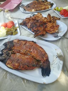 باغ رستوران ئاوان