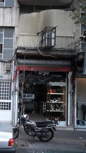 بلوط