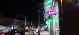 پخش تخم مرغ سینا