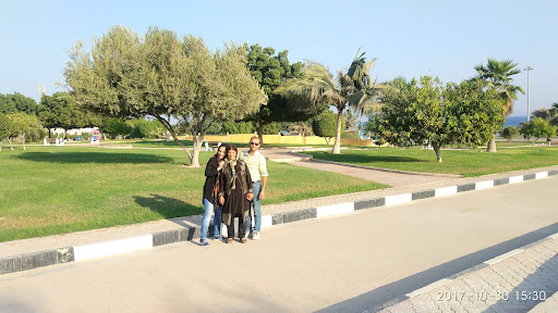 بوستان زیتون
