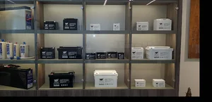 West star battery store