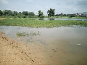 Mohammadpur Jharsa