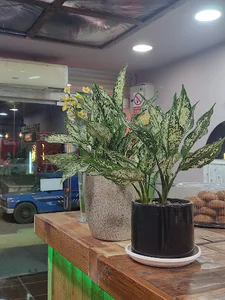 کافه سبز