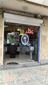 پیرایش ناب