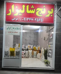 برنج شالیزار