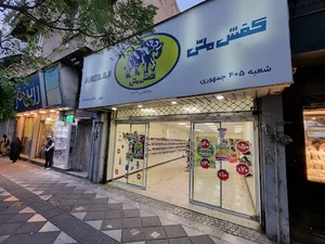 کفش ملی