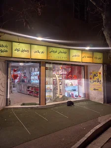 فروشگاه تم پلاس