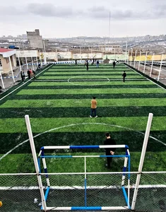 مدرسه‌ احمدی روشن