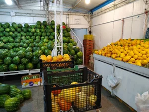 بازار میوه و تره بار جلفا