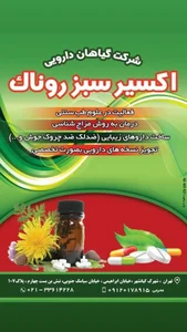 بوعلی سینا 2