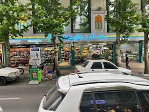 دی لند مارکت 2