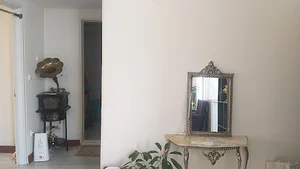 دکوراسیون داخلی سیاوشی