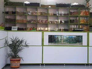 خانه گیاهی سبز