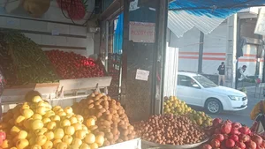 تره بار سید یحی