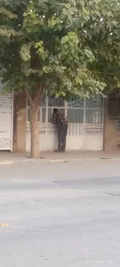 نانوایی تافتون 2