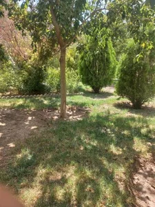 پارک خوراسگان 5
